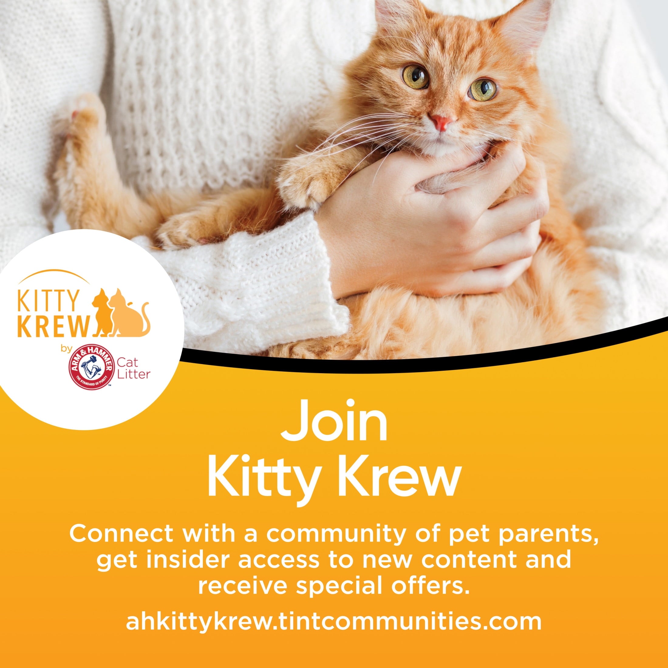 ARM & HAMMER Dual Defense with Microban Clumping Cat Litter for Multi-Cat Households - 14 lbs