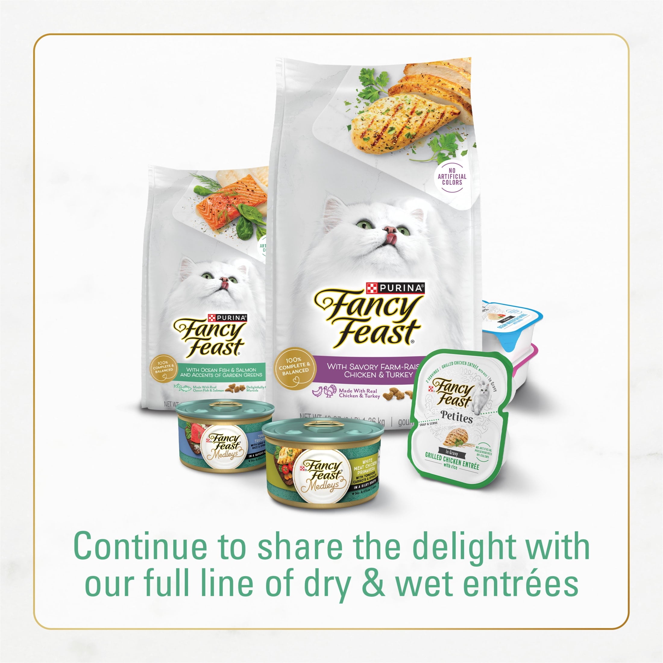 Purina Fancy Feast Dry Cat Food With Ocean Fish and Salmon - 16 oz.