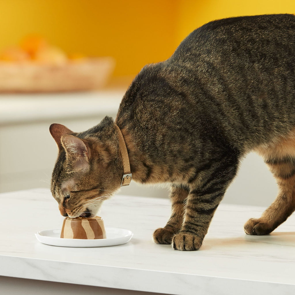 Meow Mix Tasty Layers Swirled Pate Wet Cat Food Variety Pack - 12 cups, 2.75 oz Each