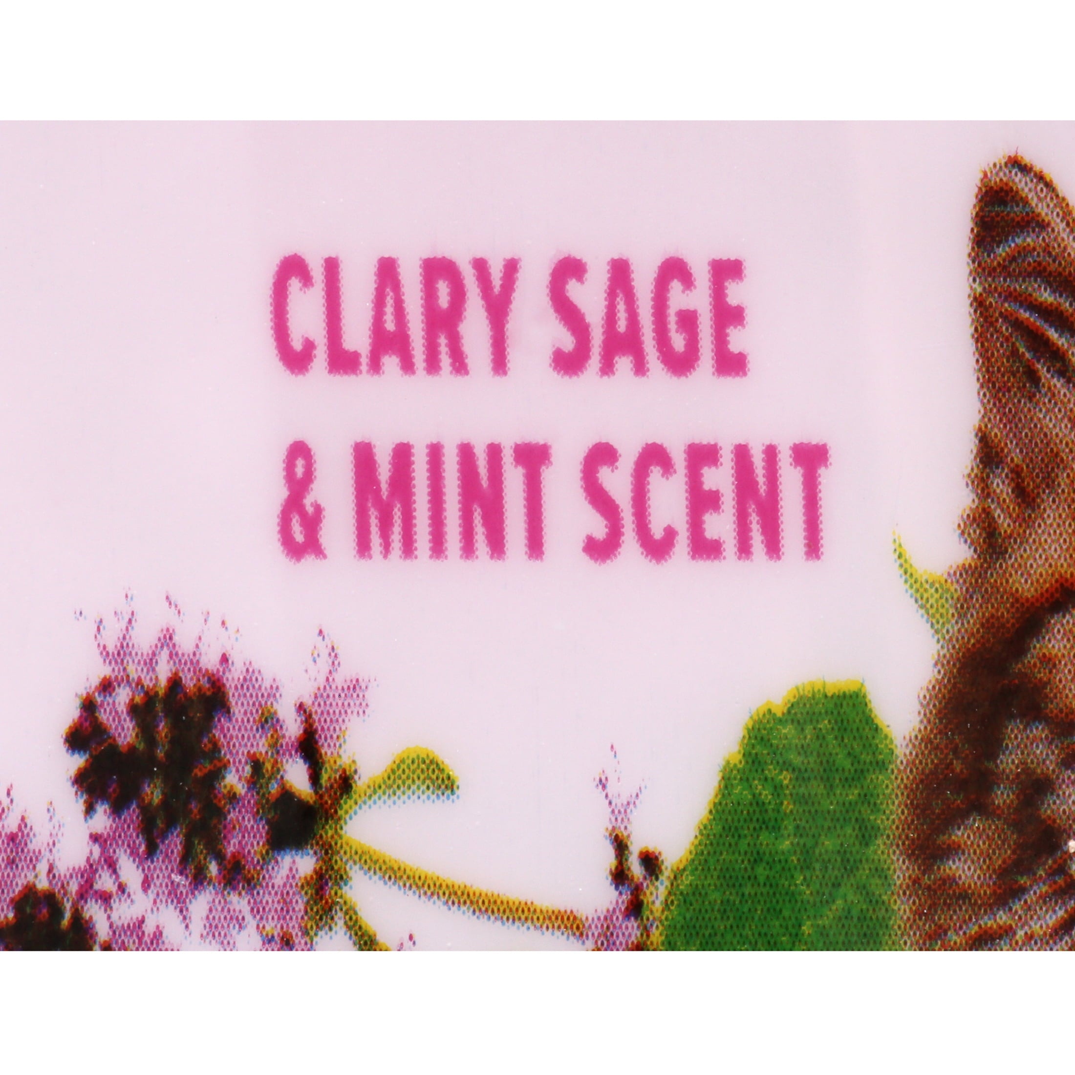 Arm & Hammer Deodorizing Cat Litter Crystals for Litter Boxes - Clary Sage & Mint Scent 15 oz.