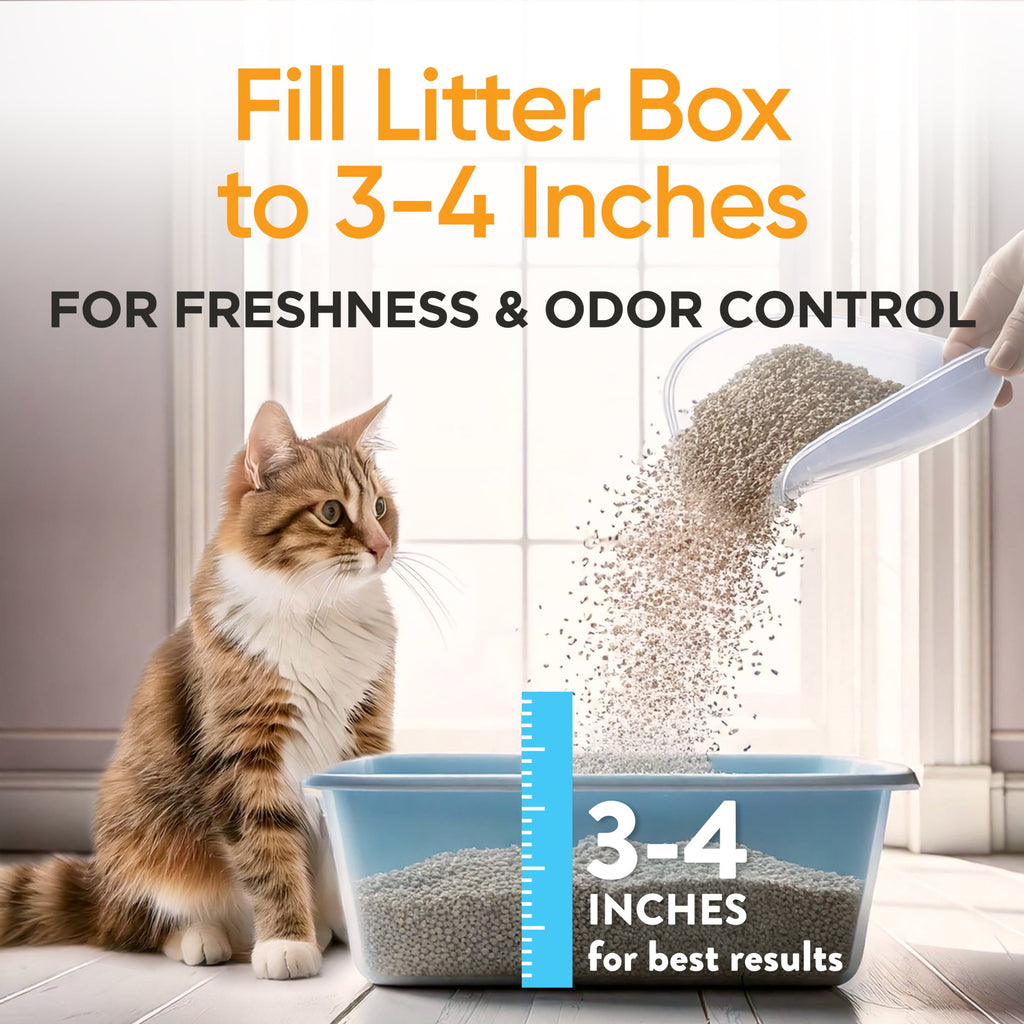 ARM & HAMMER Dual Defense with Microban Clumping Cat Litter for Multi-Cat Households - 14 lbs