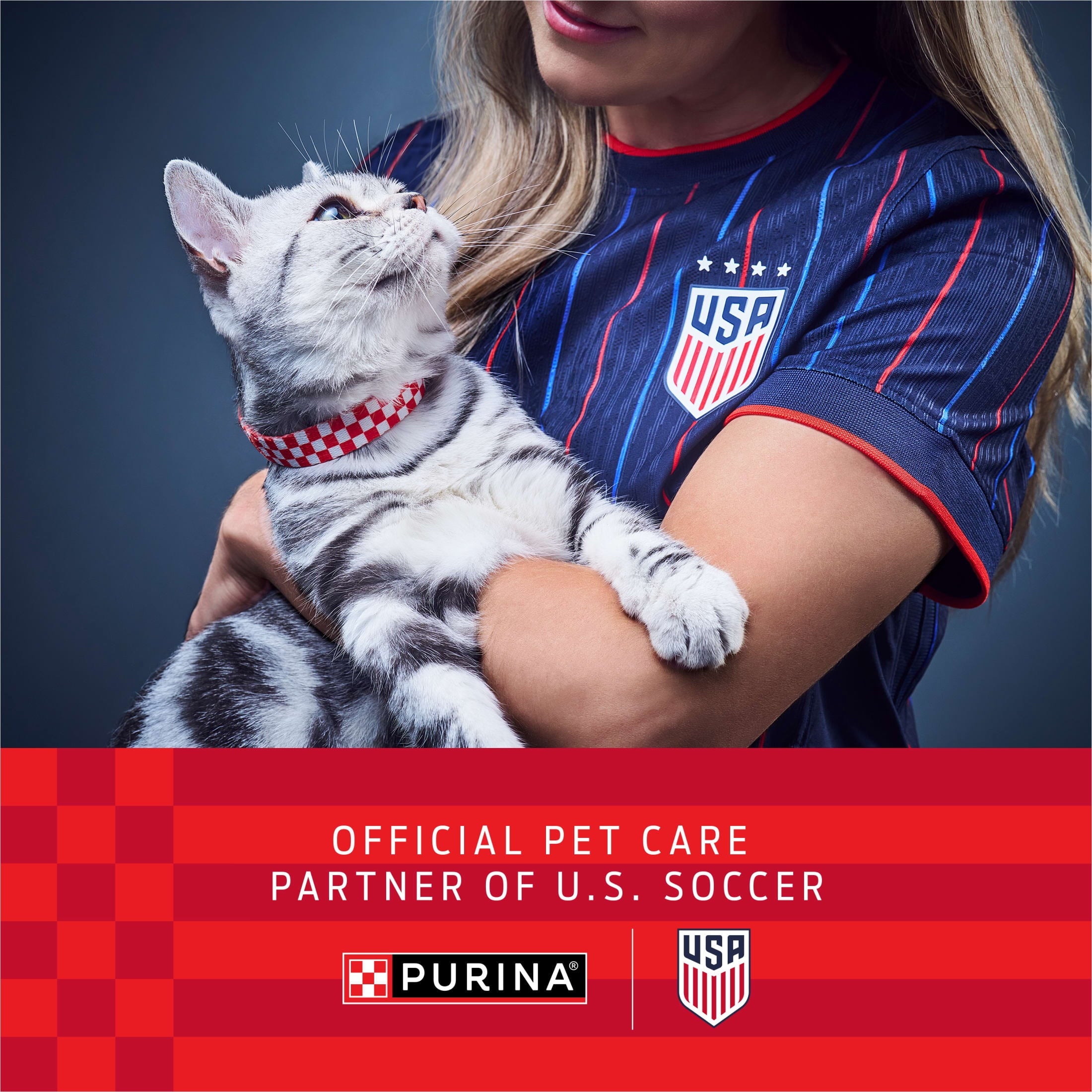Purina Fancy Feast Pate Turkey and Giblets Feast Classic Grain Free Wet Cat Food Pate - 3 oz. - 24-Pack