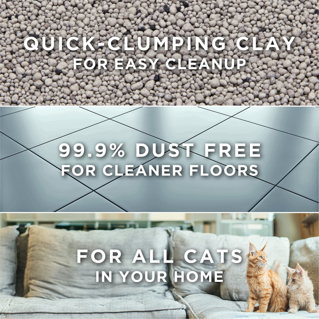 Purina Tidy Cats Free and Clean Clumping Cat Litter - Unscented, 35 lb Pail - 2-Pack