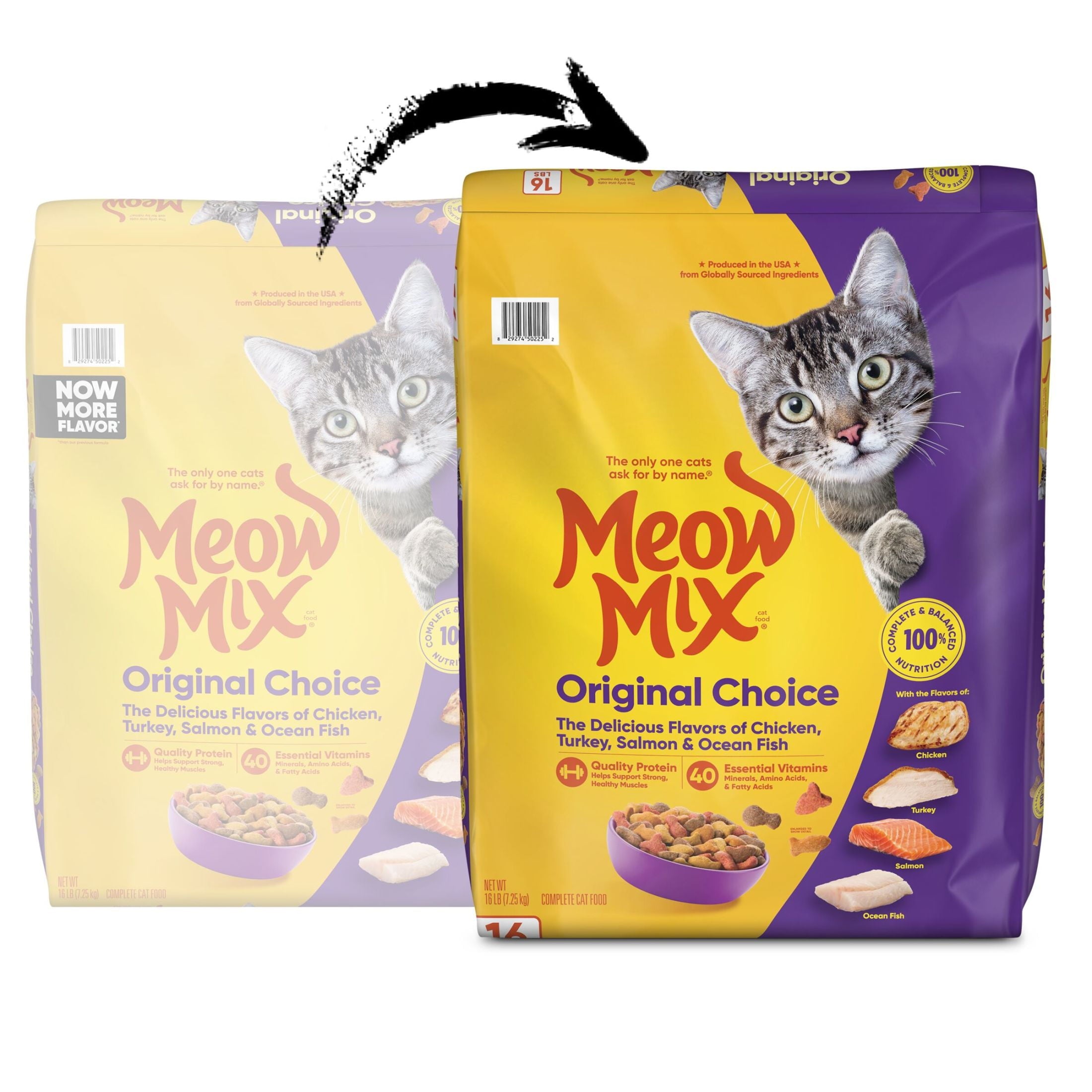 Meow Mix Original Choice Dry Cat Food - 16 lb. Bag