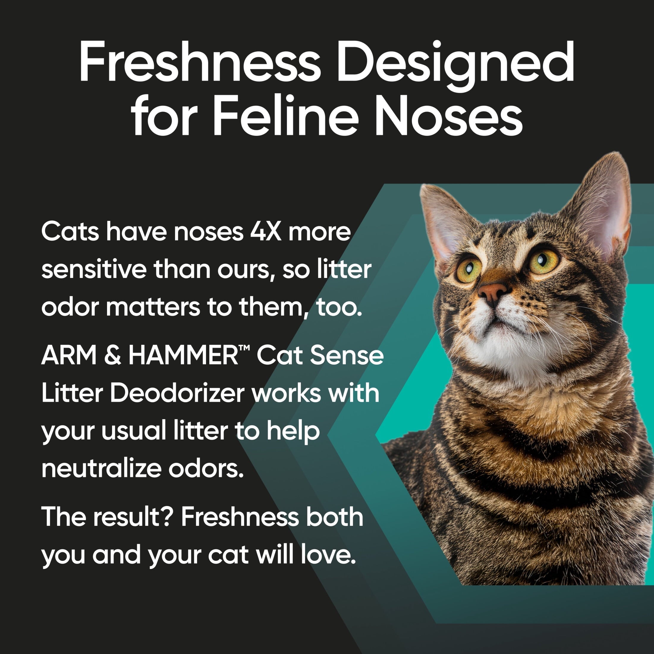 ARM & HAMMER Cat Sense Odor Control Cat-Approved Litter Deodorizer - Long-Lasting Scented Freshener Additive, Works with Most Litter, 24 Oz