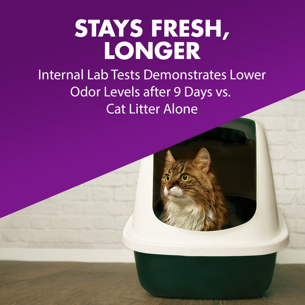 ARM & HAMMER Cat Litter Deodorizer Double Duty - 42.6OZ - 2-Pack