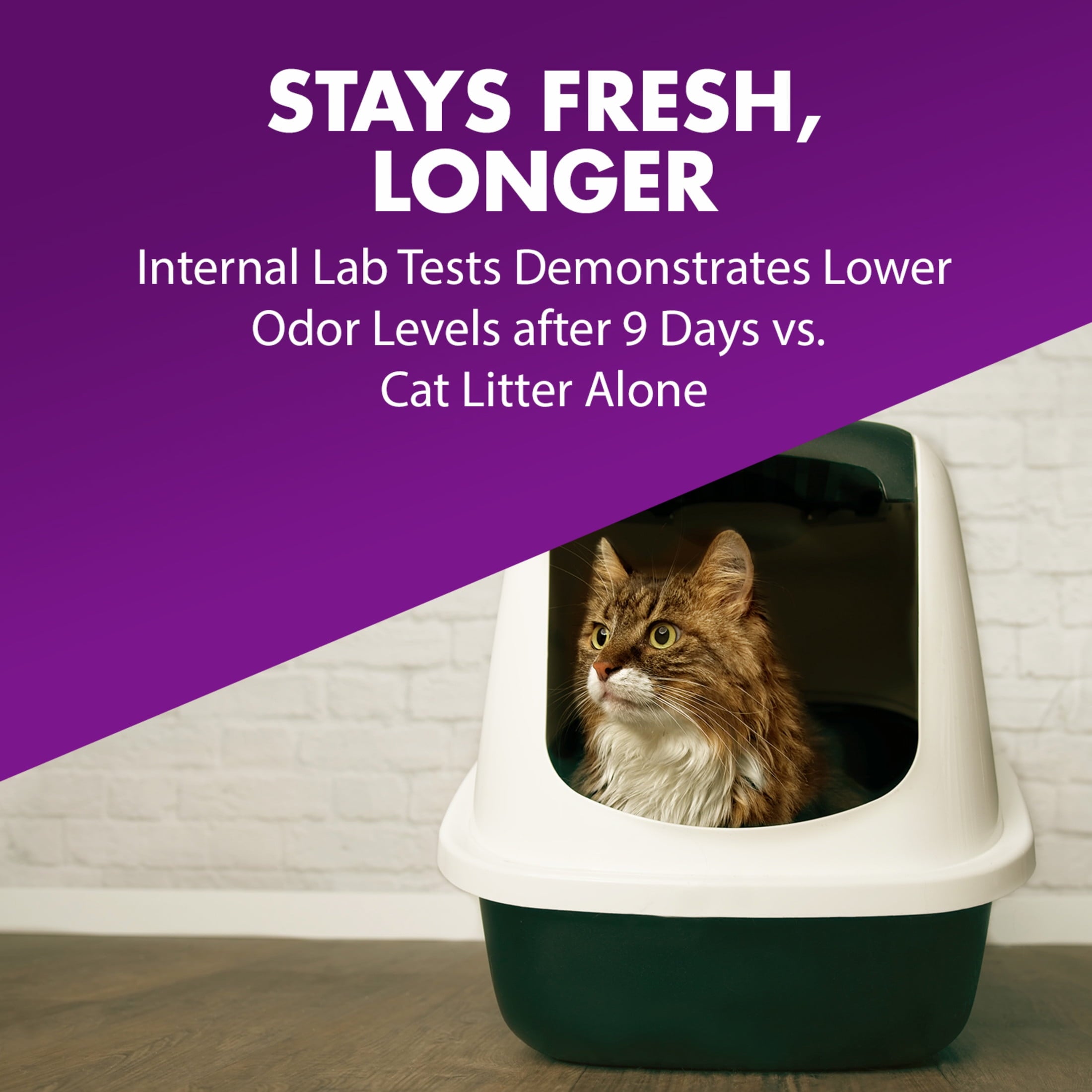 ARM & HAMMER Cat Litter Deodorizer Double Duty - 42.6OZ