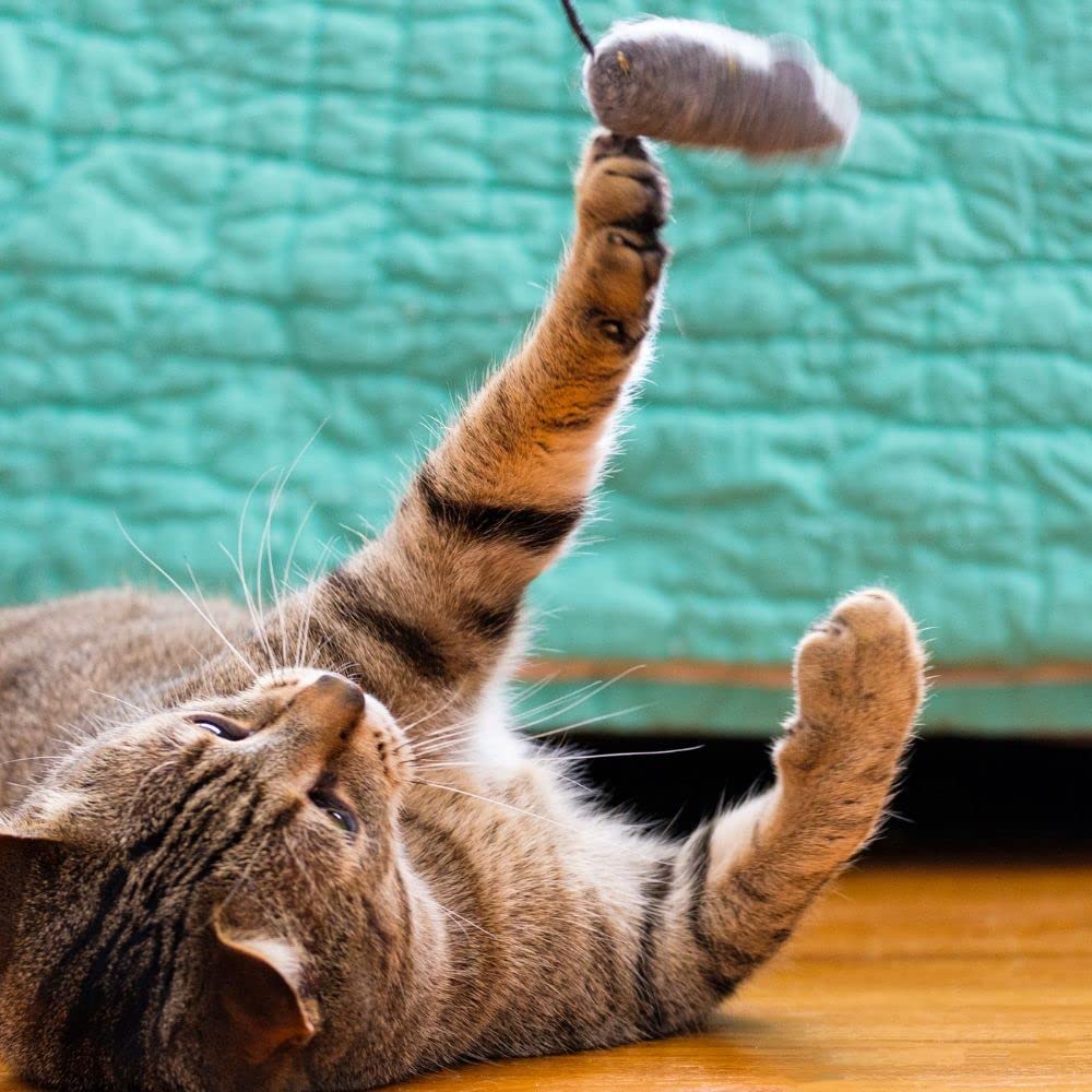 Meow Mix Irresistibles Soft Cat Treats 2 Flavor 4 Pouch Variety Pack (2 Each): Salmon - White Meat Chicken + MerlinsMart Zine - Catnip Toy