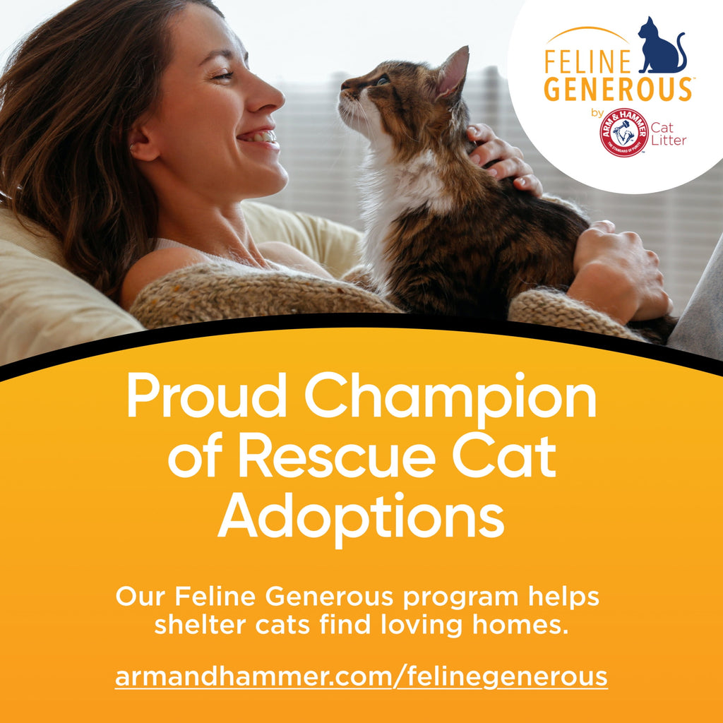 ARM & HAMMER Dual Defense with Microban Clumping Cat Litter - Antimicrobial Product Protection*, Odor Control for Multi-Cat Households, 38 Lbs