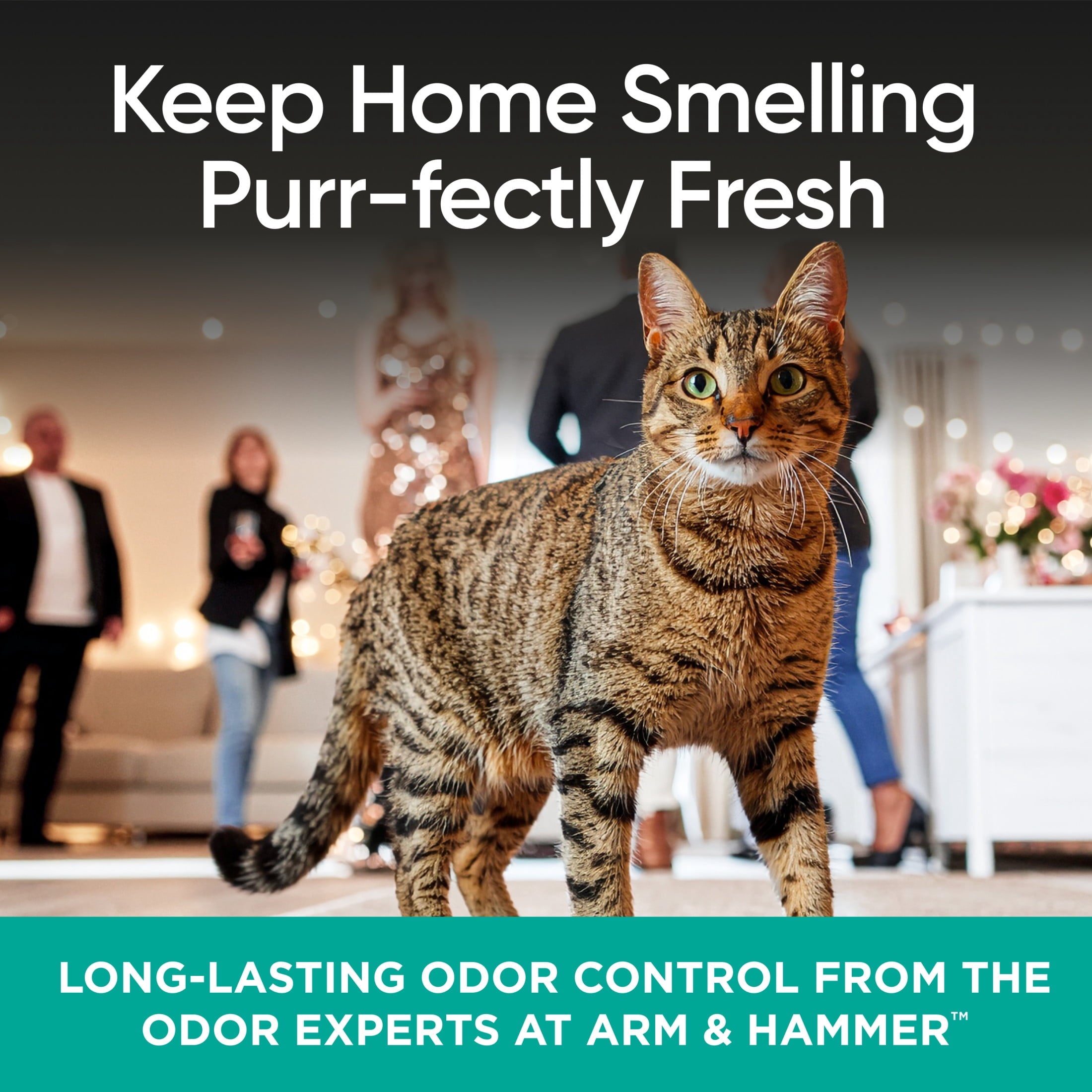 ARM & HAMMER Cat Sense Odor Control Cat-Approved Litter Deodorizer - Long-Lasting Scented Freshener Additive, Works with Most Litter, 24 Oz