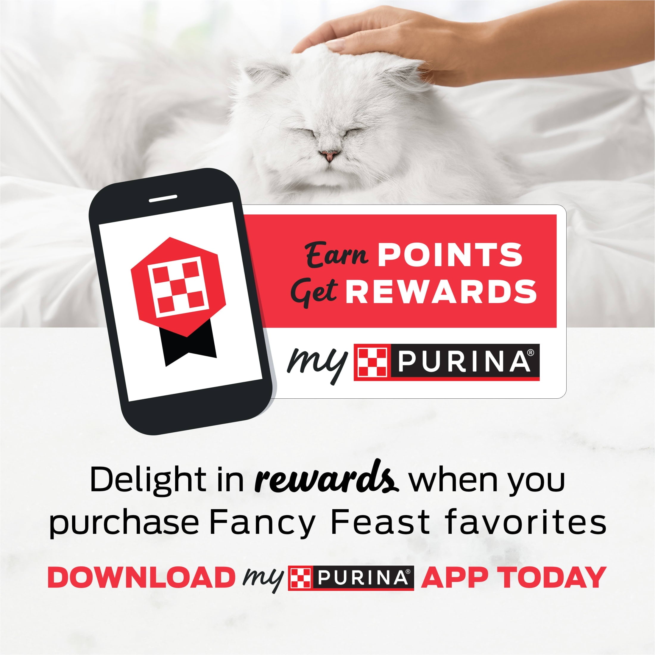 Purina Fancy Feast Classic Pate Kitten Food - Wet Cat Food, Salmon Primavera, 3 oz Cans (12 Pack) - 6-Pack