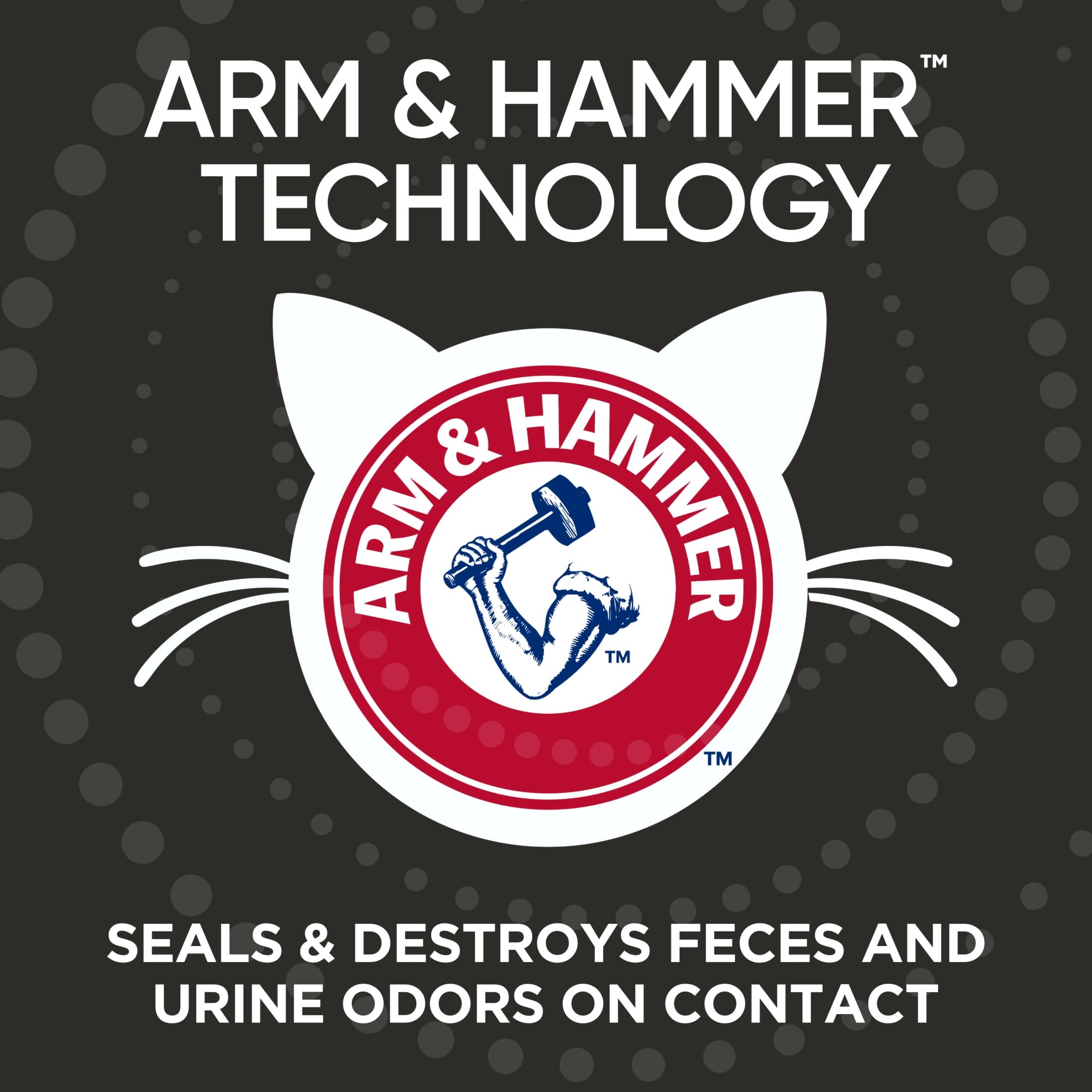 ARM & HAMMER Dual Defense with Microban Clumping Cat Litter for Multi-Cat Households - 14 lbs