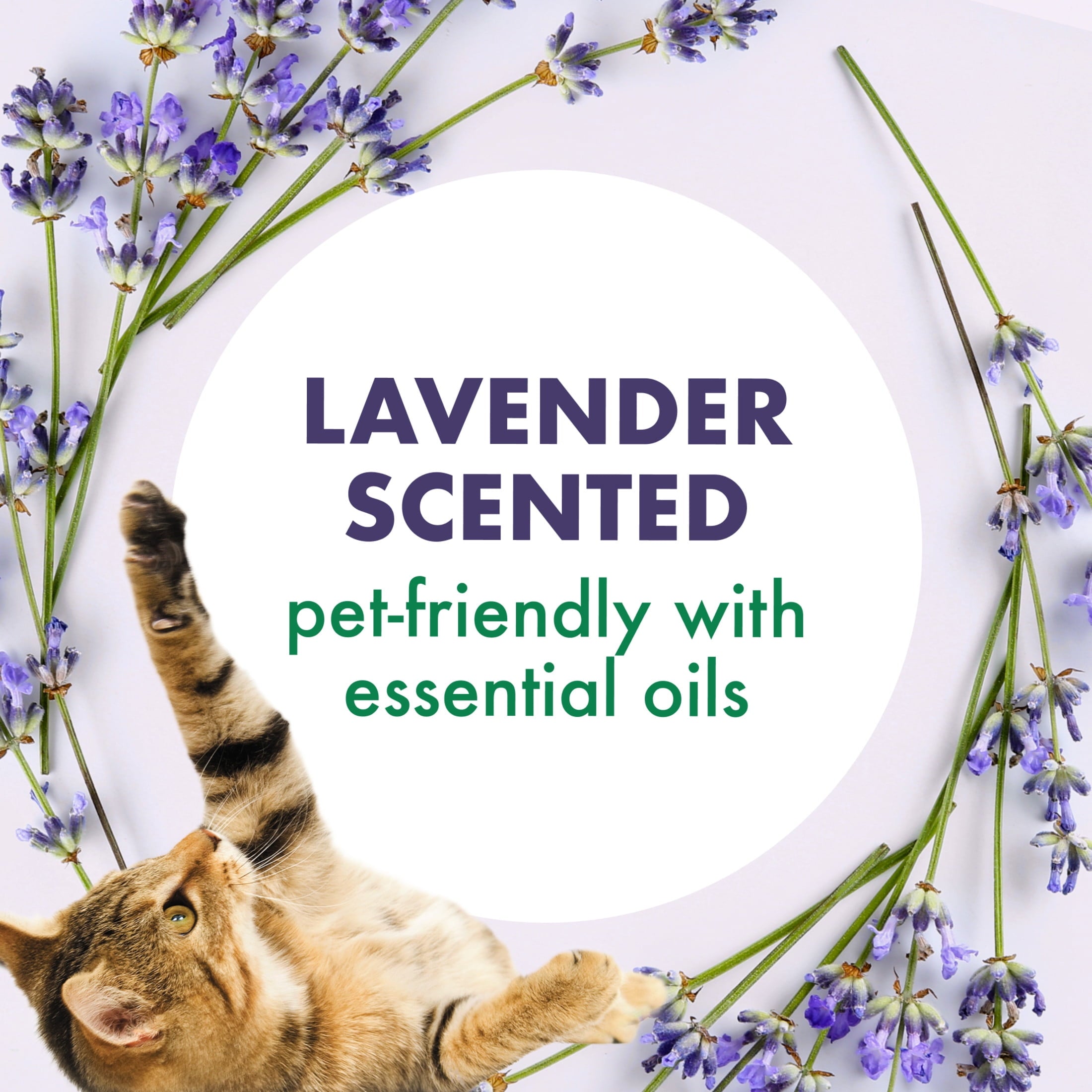 ARM & HAMMER Forever Fresh Cat Litter Deodorizer - Pet-Friendly Lavender Scent, 33 oz