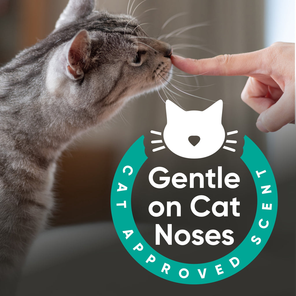ARM & HAMMER Cat Sense Odor Control Cat-Approved Litter Deodorizer - Long-Lasting Scented Freshener Additive, Works with Most Litter, 24 Oz - 6-Pack