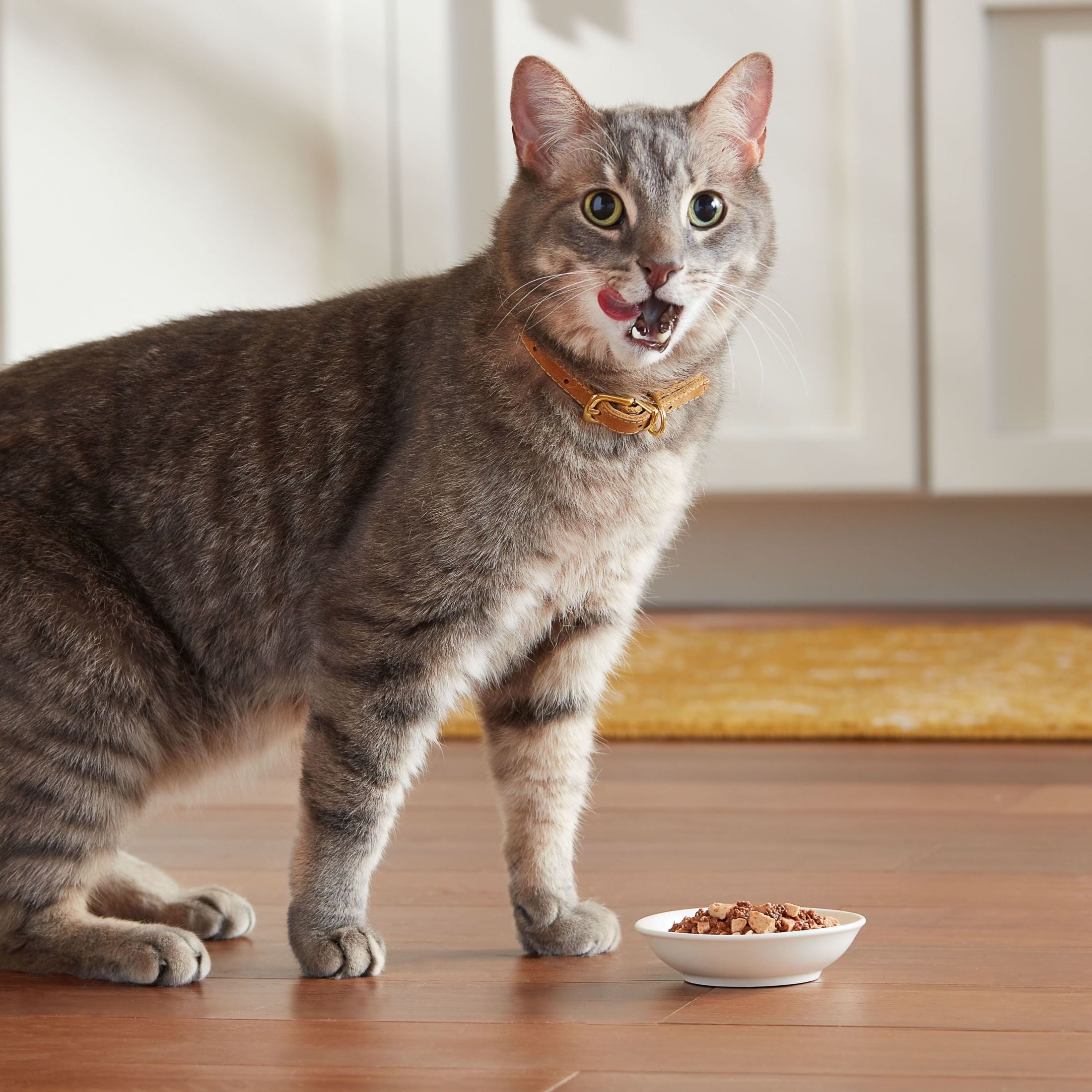 Meow Mix Poultry Selections Variety Pack - Wet Cat Food, 2.75 oz Cup (24 Pack)