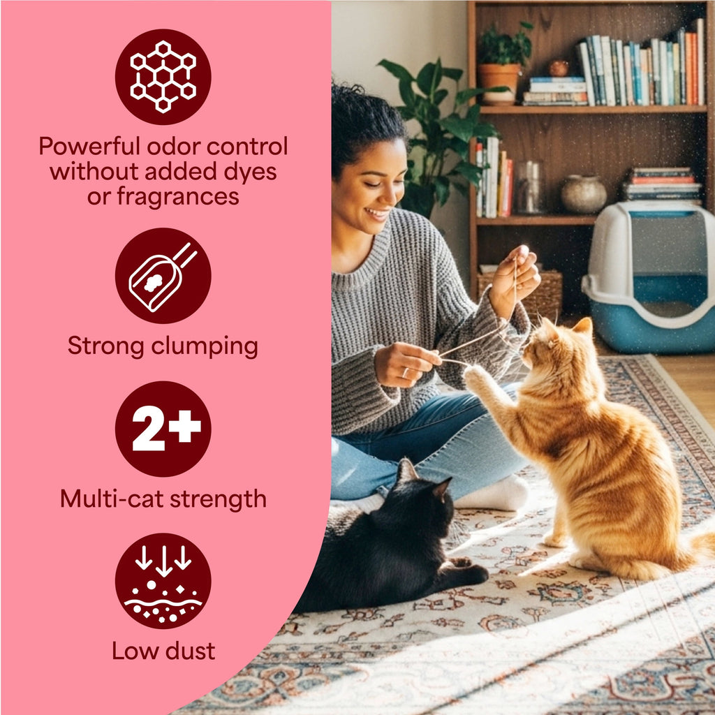 Fresh Step Simply Multi-Cat Clumping Cat Litter - Unscented, 22 lb Box