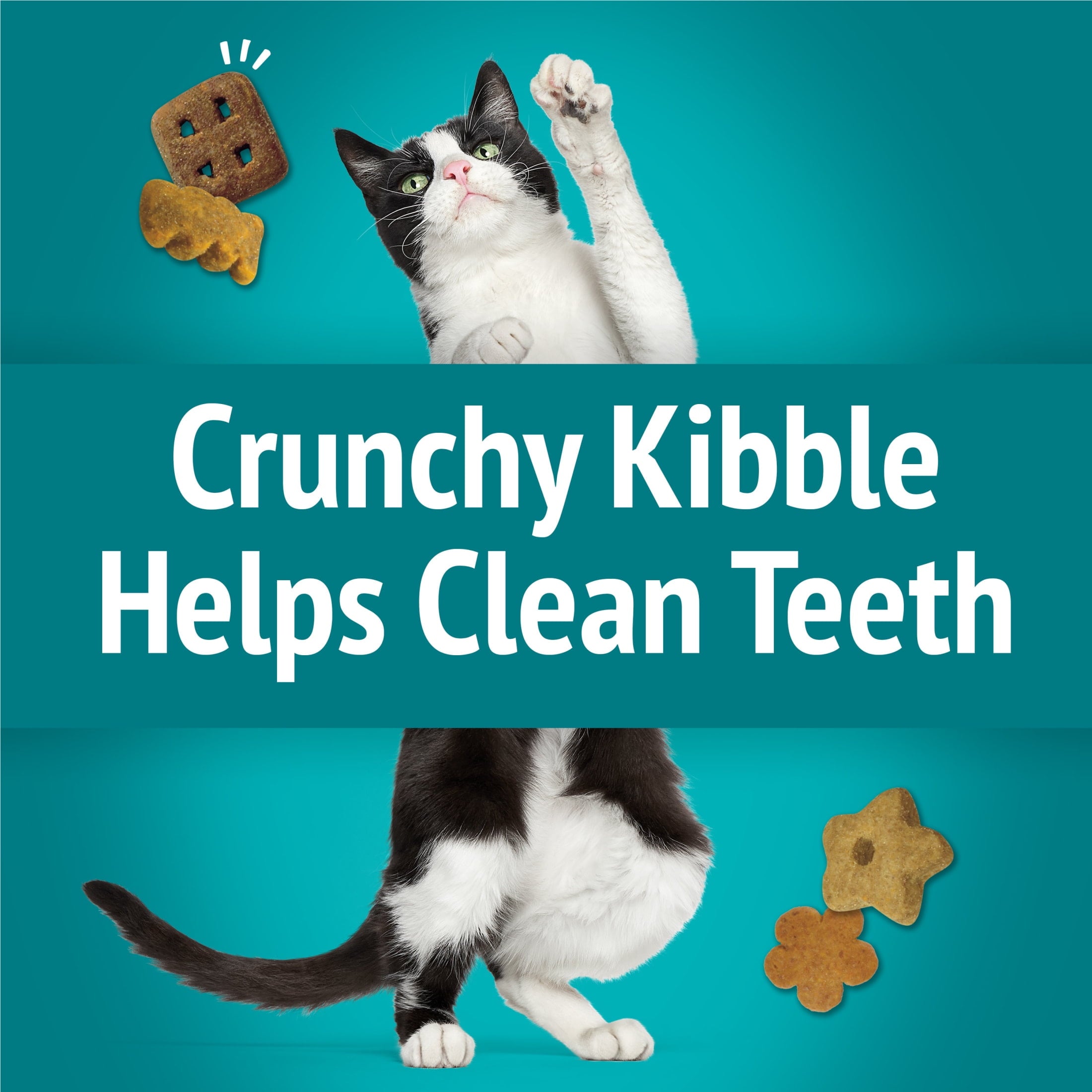 Purina Friskies Party Mix Meow Luau - Cat Treats, Ocean Whitefish, Pork, & Crab, 2.1 oz Bag