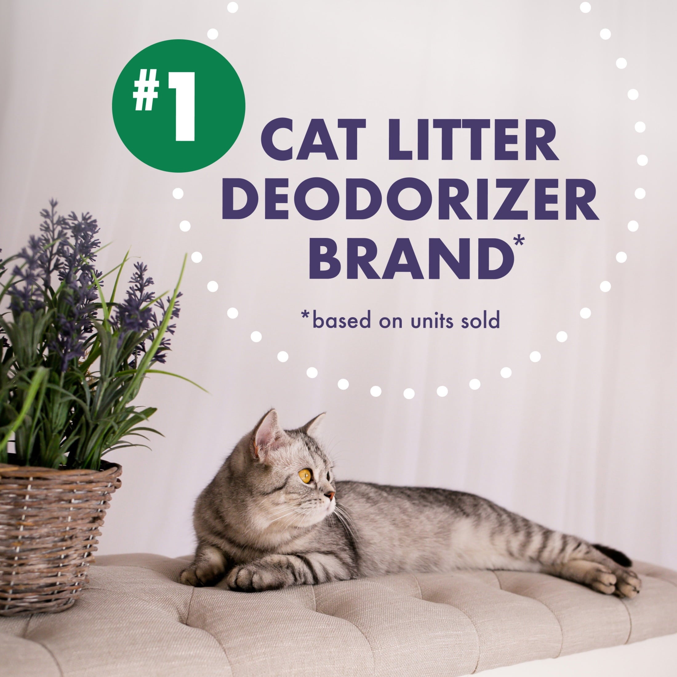 ARM & HAMMER Forever Fresh Cat Litter Deodorizer - Pet-Friendly Lavender Scent, 33 oz
