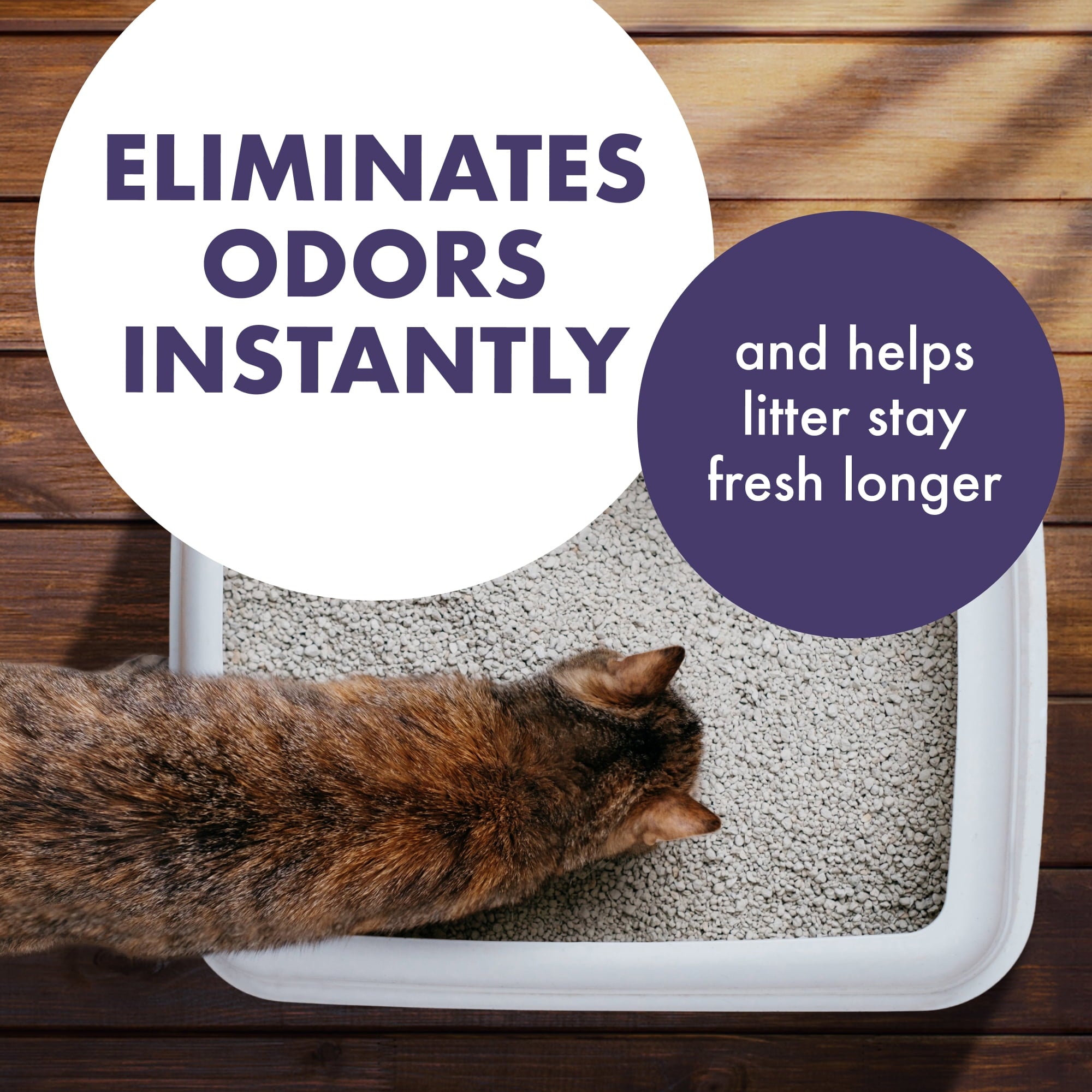 ARM & HAMMER Forever Fresh Cat Litter Deodorizer - Pet-Friendly Lavender Scent, 42.6 oz - 2-Pack
