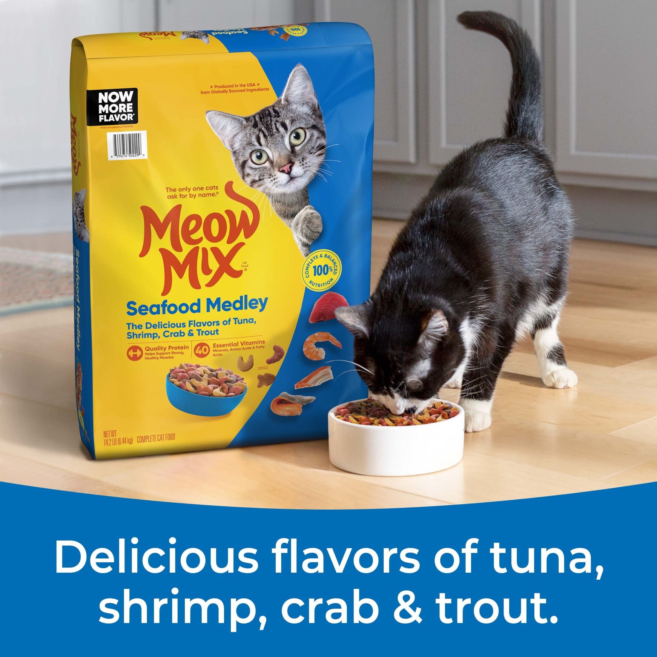 Meow Mix Seafood Medley Dry Cat Food - 14.2 lb. Bag