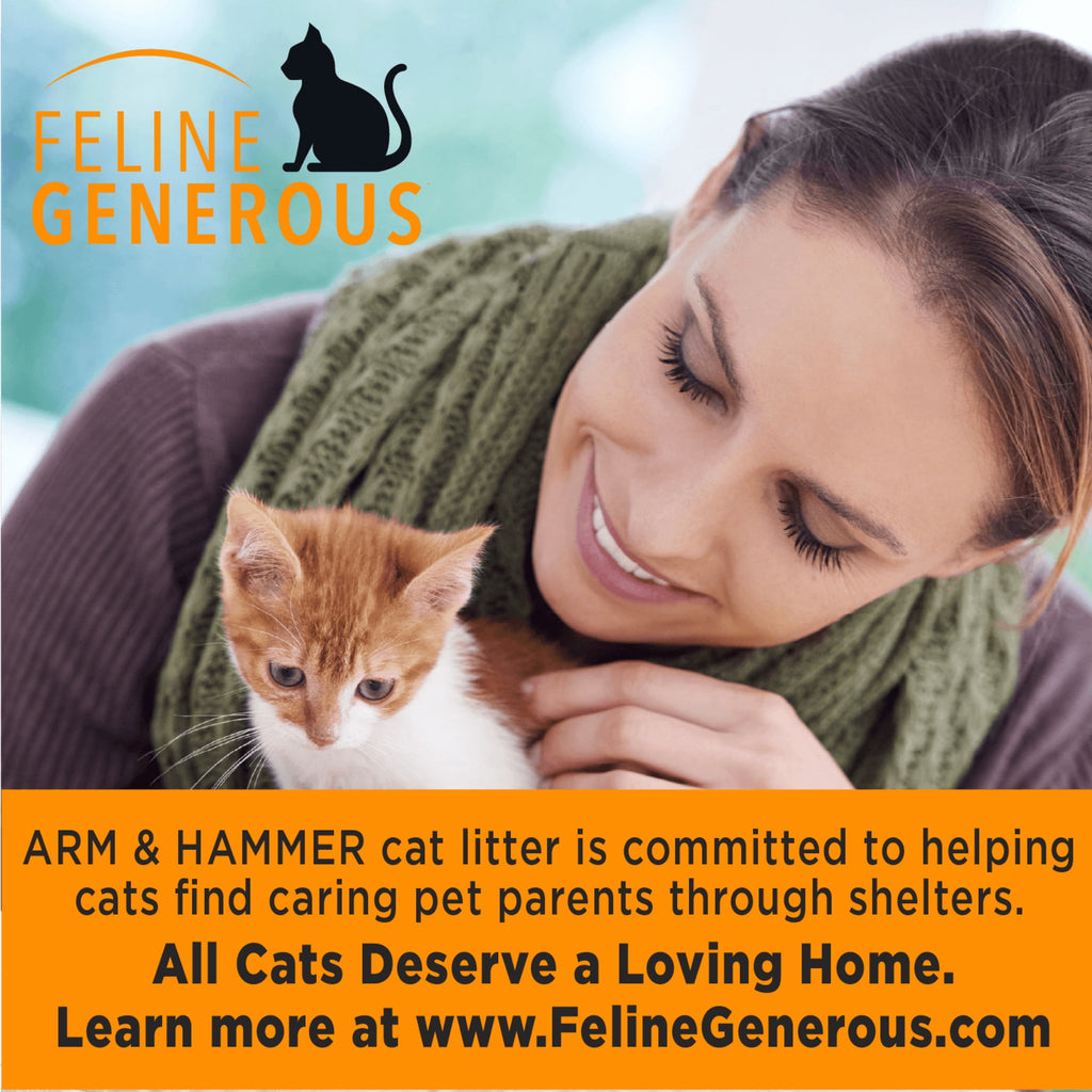 ARM & HAMMER Super Scoop Fragrance Free Clumping Clay Cat Litter - 14 lb - 3-Pack