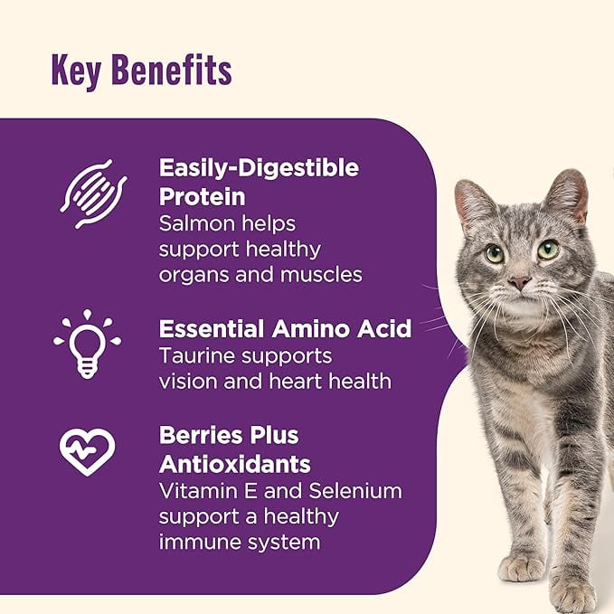 Meow Mix: Seafood Medley Dry Cat Food - 14.2 lb