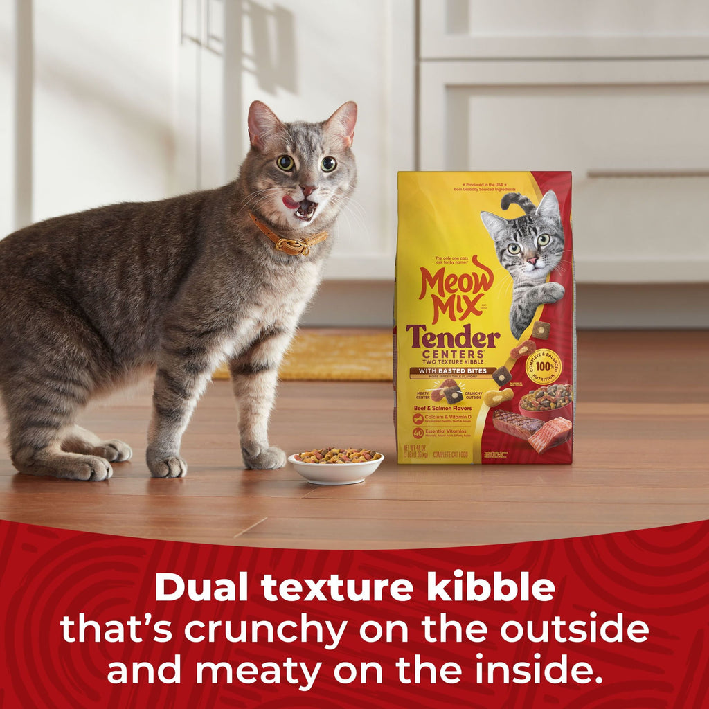 Meow Mix Tender Centers with Basted Bites - Beef & Salmon Flavors, Dry Cat Food, 3 lb. Bag - 2-Pack
