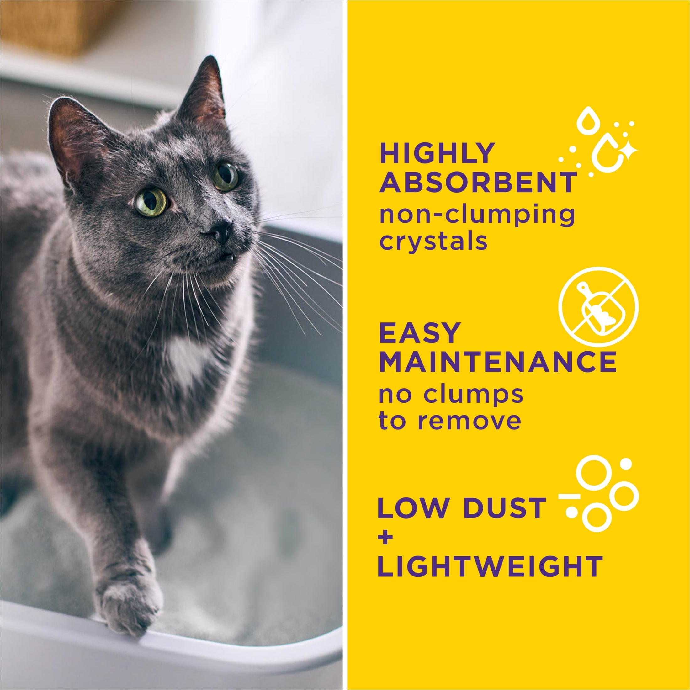 Purina Tidy Cats Tidy Care Alert Health Monitoring Cat Litter - Unscented, 8 lb Bag - 2-Pack