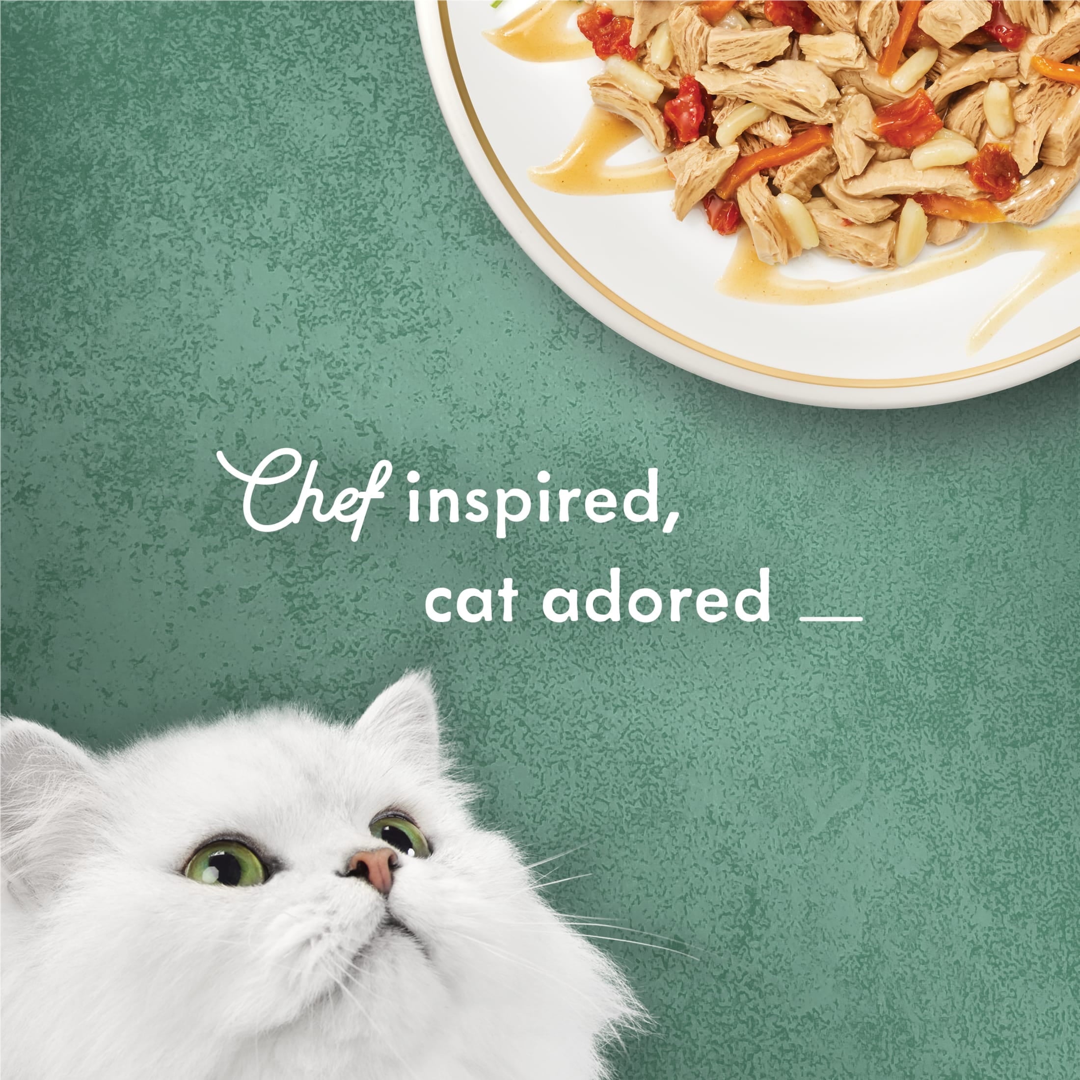Purina Fancy Feast Medleys Wet Cat Food Pork Barbacoa with Rice - Tomatoes and Carrots in Savory Juices, 3 oz. Can