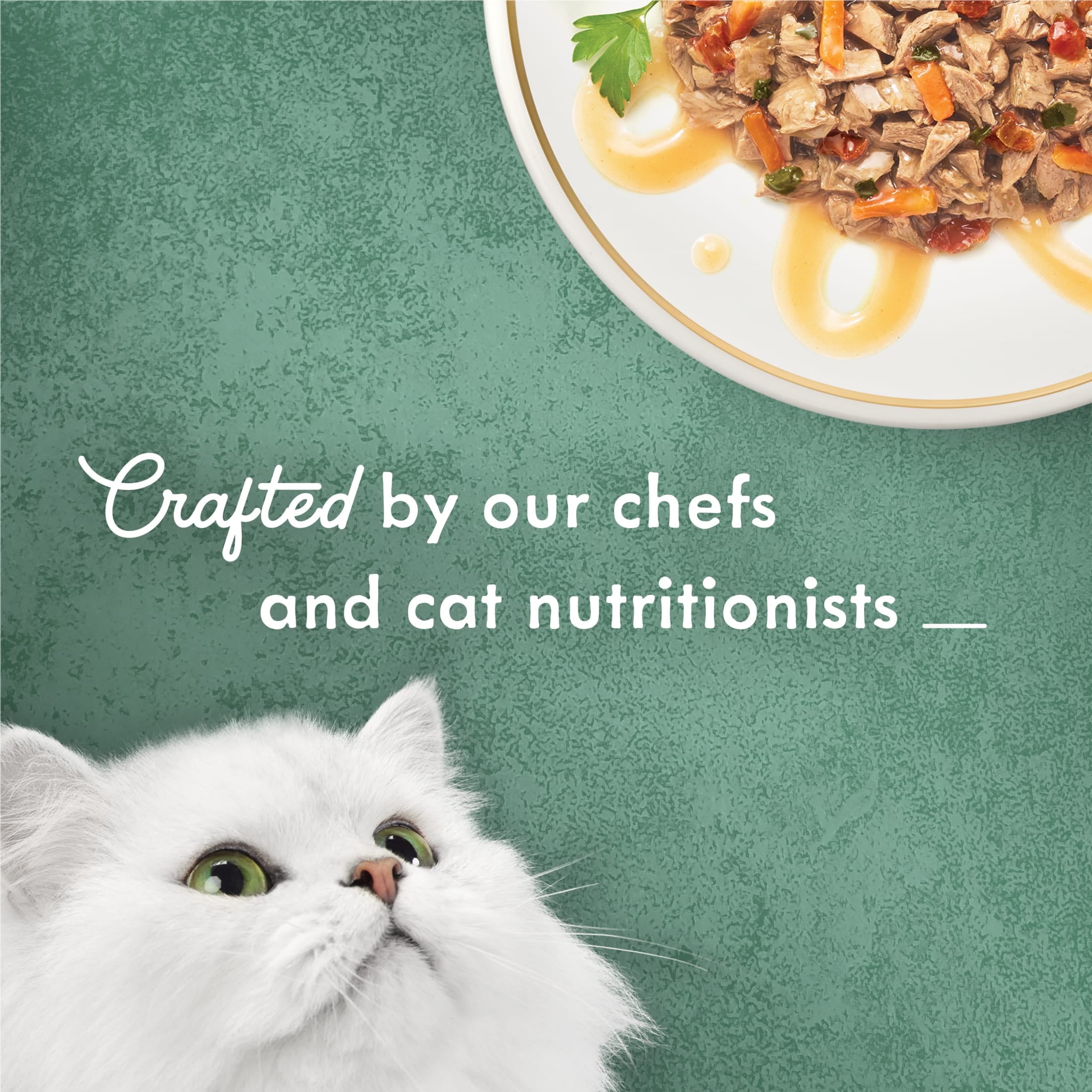 Purina Fancy Feast Medleys Cat Food - Wet Cat Food, Salmon Primavera, 3 oz Can