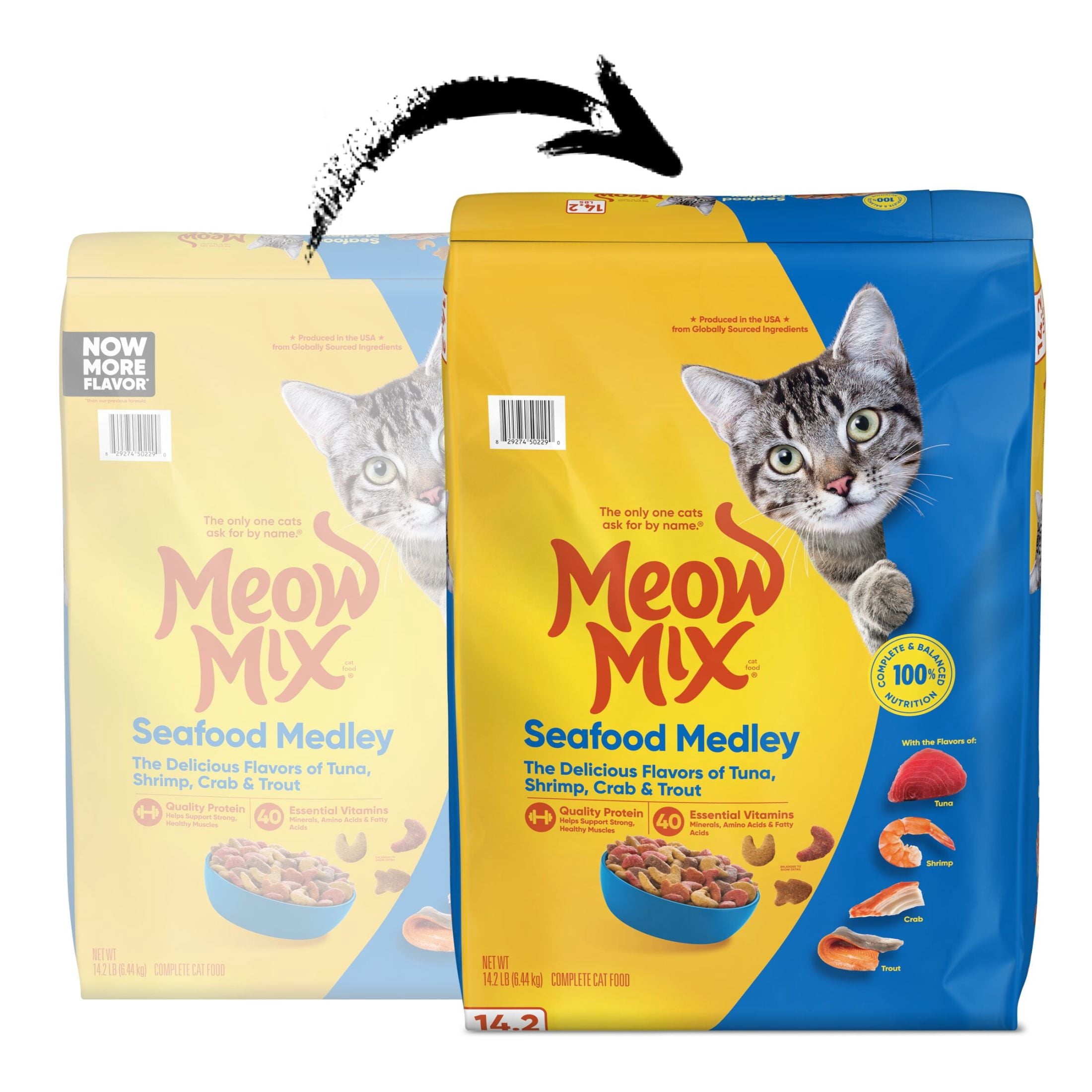 Meow Mix Seafood Medley Dry Cat Food - 14.2 lb. Bag