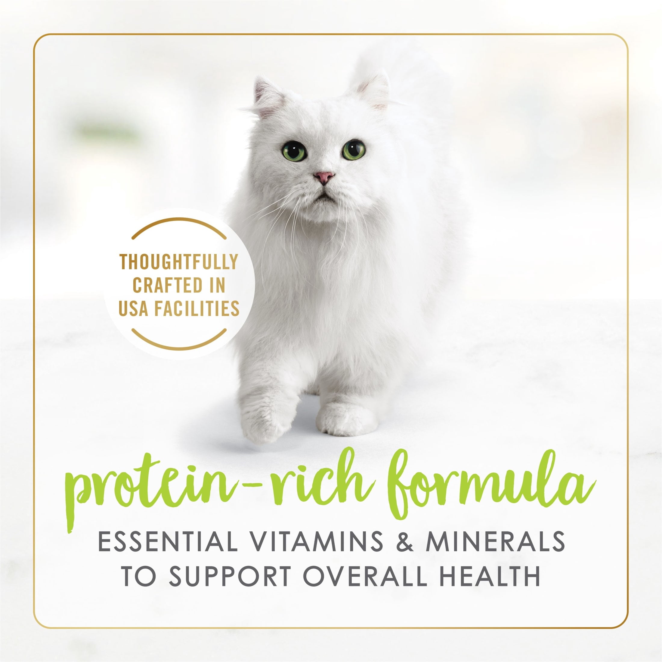 Purina Fancy Feast Grilled Kitten Food - Wet Cat Food, Salmon Feast in Gravy, 3 oz Can - 24-Pack
